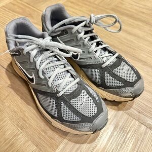 Nike Air Pegasus 2005 silver grey